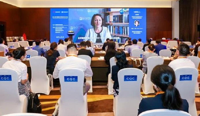 LES中国分会应邀参加2022年服贸会中国服务贸易标准化论坛(图3)
